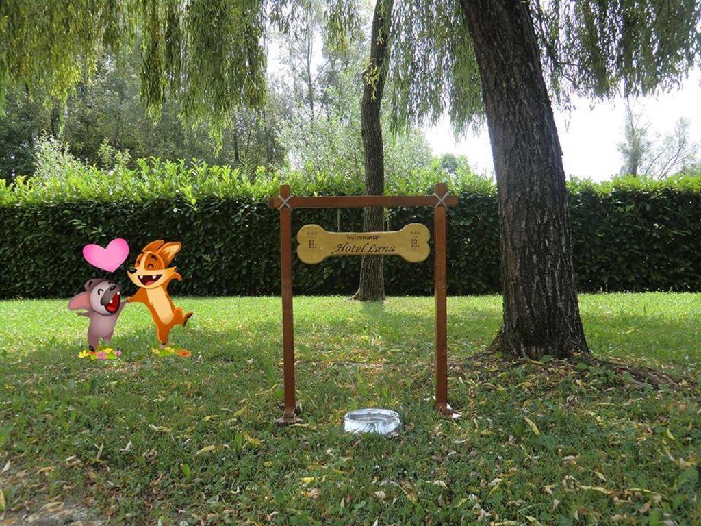 月神酒店 Vigonovo  外观 照片